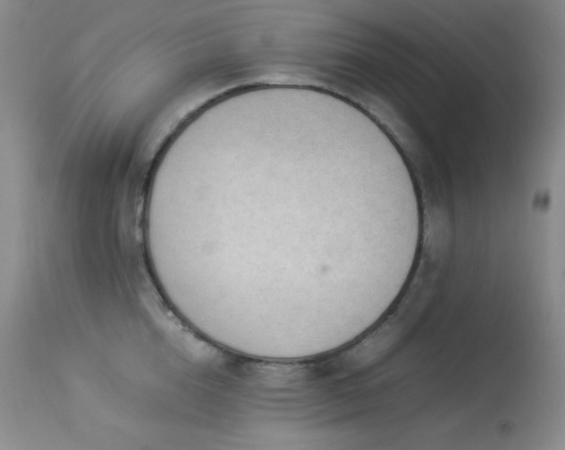 X0000114220856200910091346