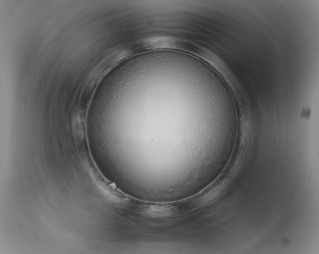 X0000114220857200910091346
