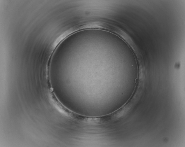 X0000114220858200910091346
