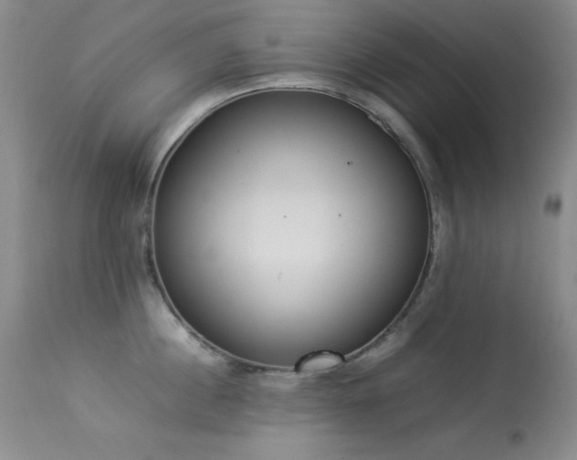 X0000114220860200910091346