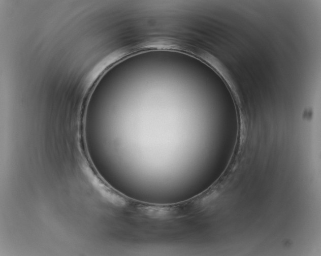 X0000114220861200910091346