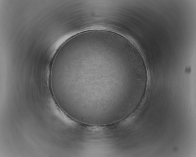X0000114220862200910091346
