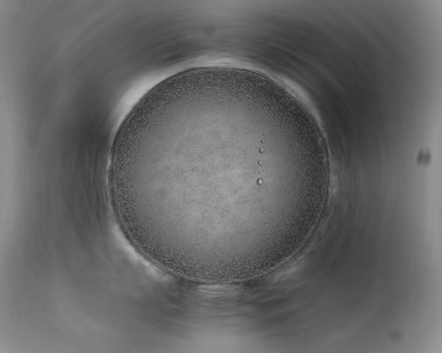 X0000114220863200910091346