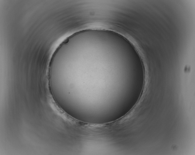 X0000114220864200910091346