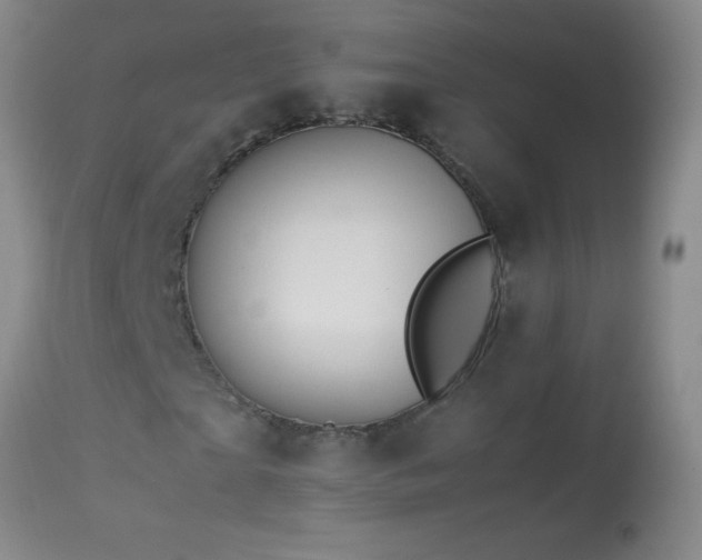 X0000114220865200910091345