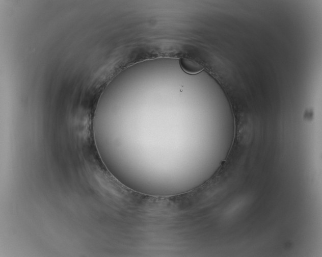 X0000114220866200910091345