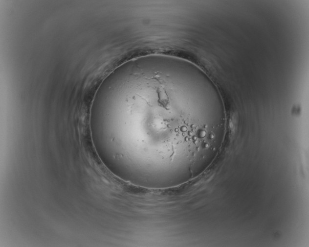 X0000114220867200910091345