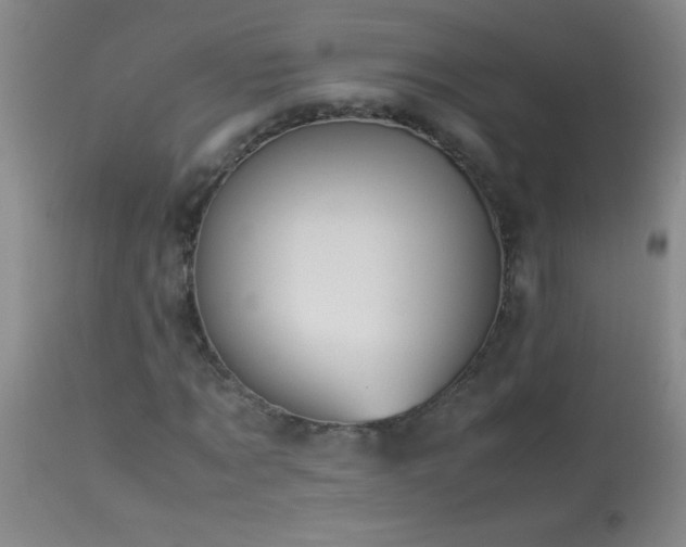 X0000114220869200910091345