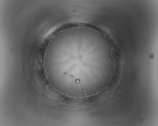 X0000114220871200910091345