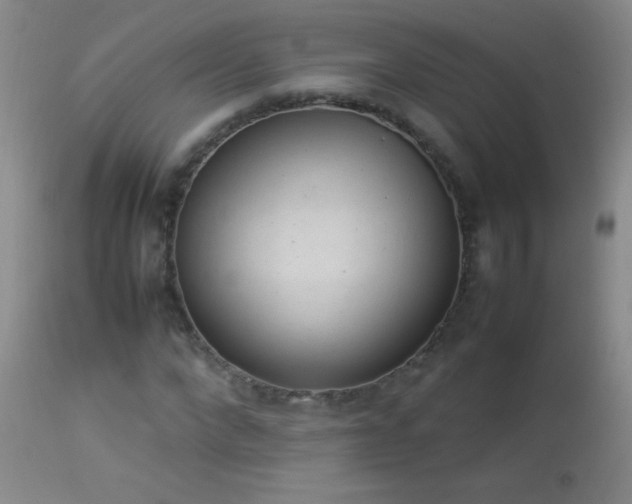 X0000114220872200910091345