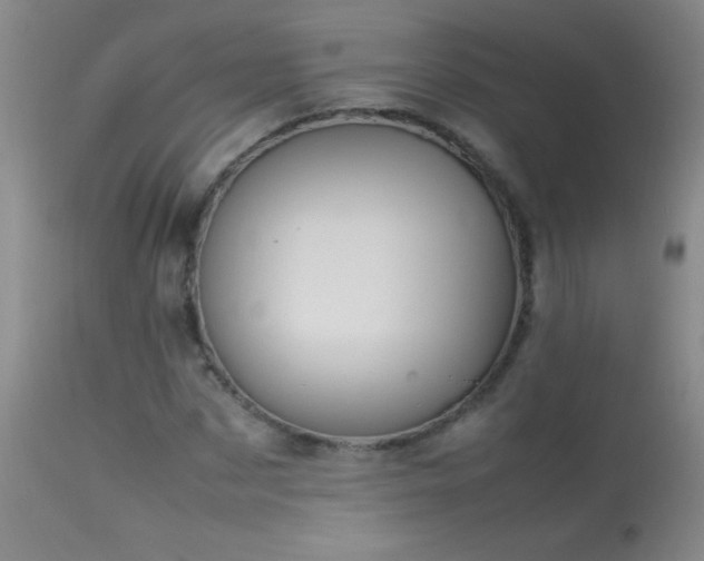 X0000114220873200910091345