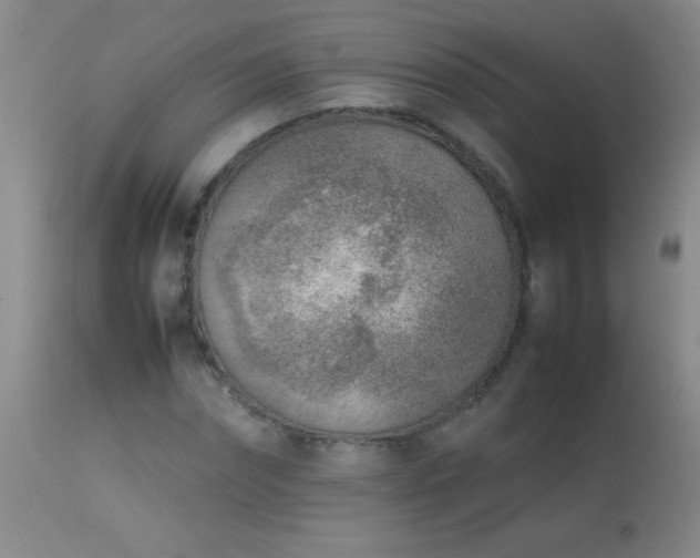 X0000114220874200910091345
