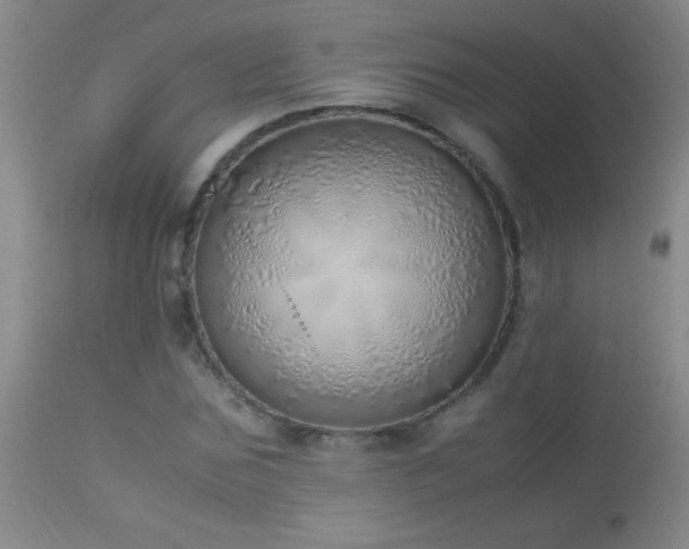 X0000114220875200910091345