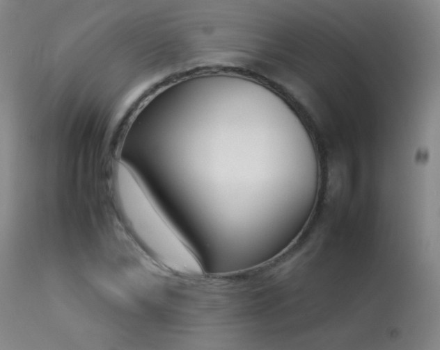X0000114220878200910091345