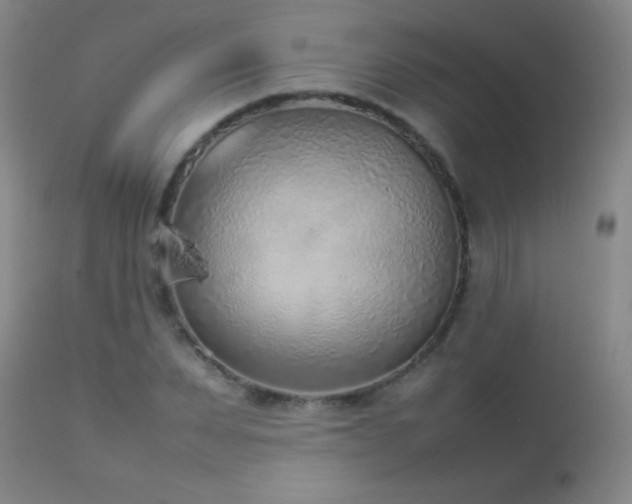 X0000114220879200910091345