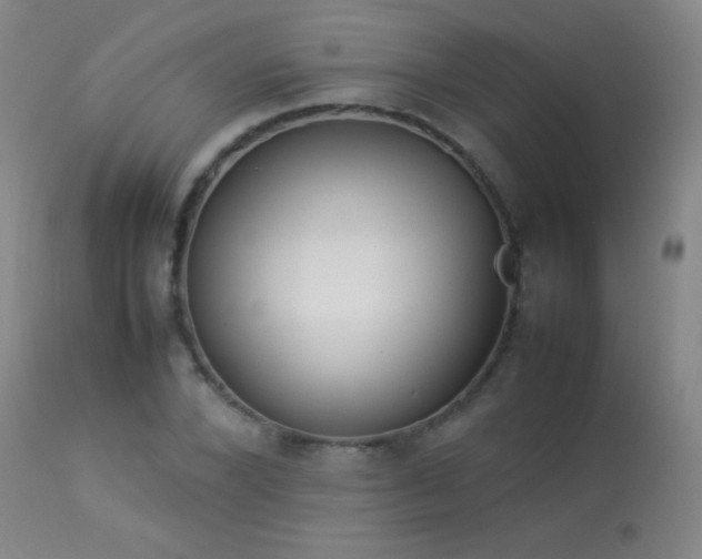 X0000114220880200910091345