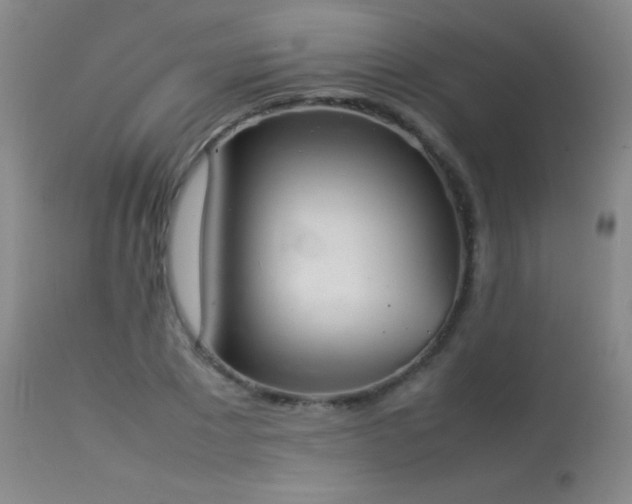 X0000114220881200910091345