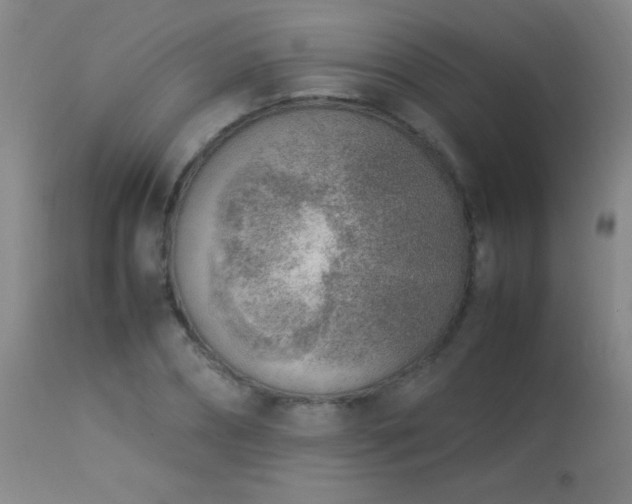 X0000114220882200910091345