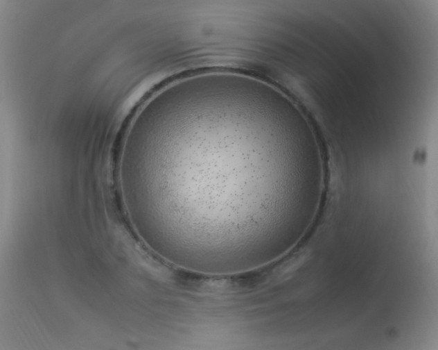 X0000114220883200910091345