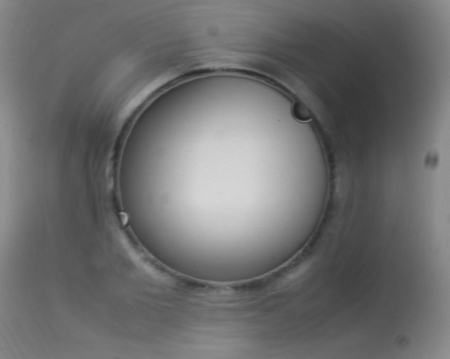 X0000114220885200910091345