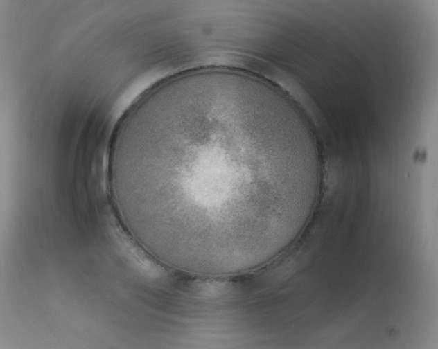 X0000114220886200910091345