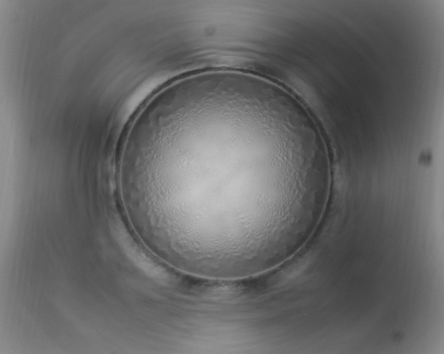X0000114220891200910091345