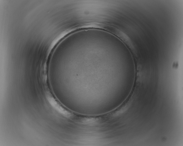 X0000114220892200910091345