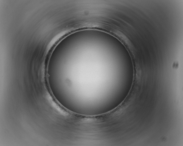 X0000114220894200910091345