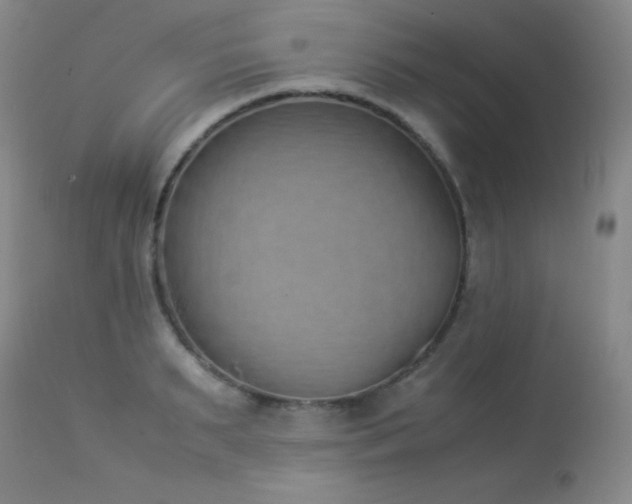 X0000114220895200910091345