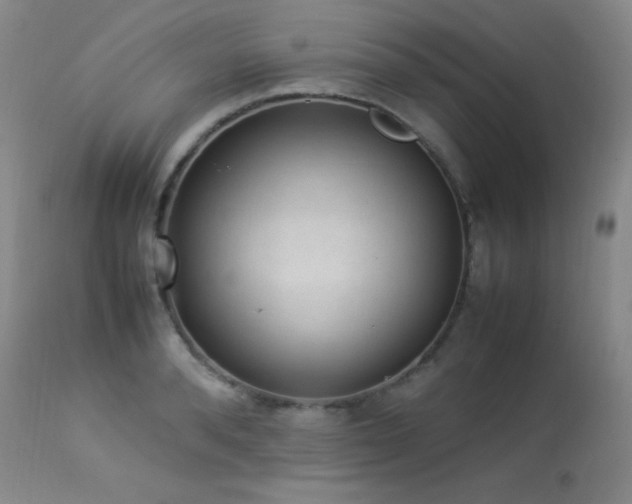 X0000114220896200910091345