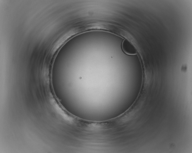 X0000114220898200910091345