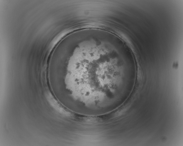 X0000114220899200910091345