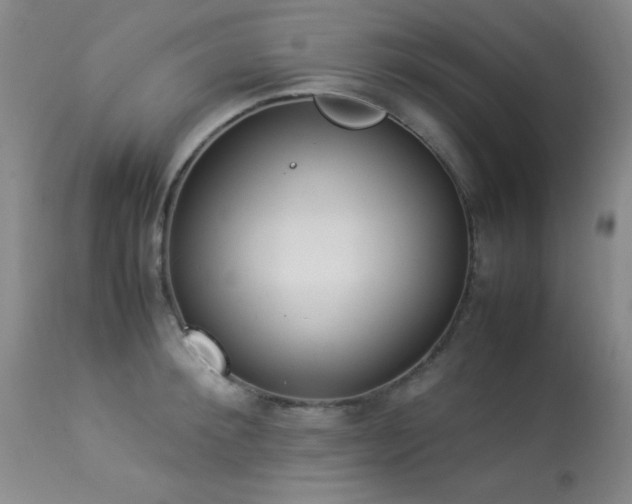 X0000114220900200910091345