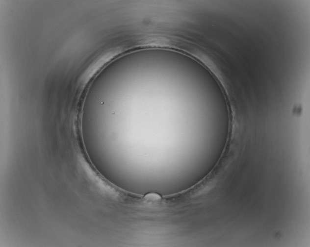 X0000114220901200910091345