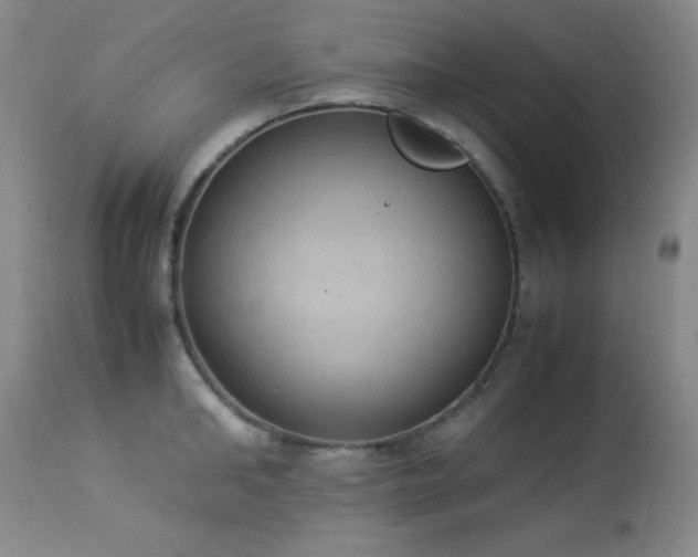 X0000114220902200910091345