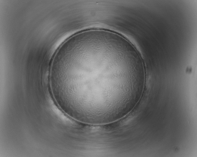 X0000114220903200910091345