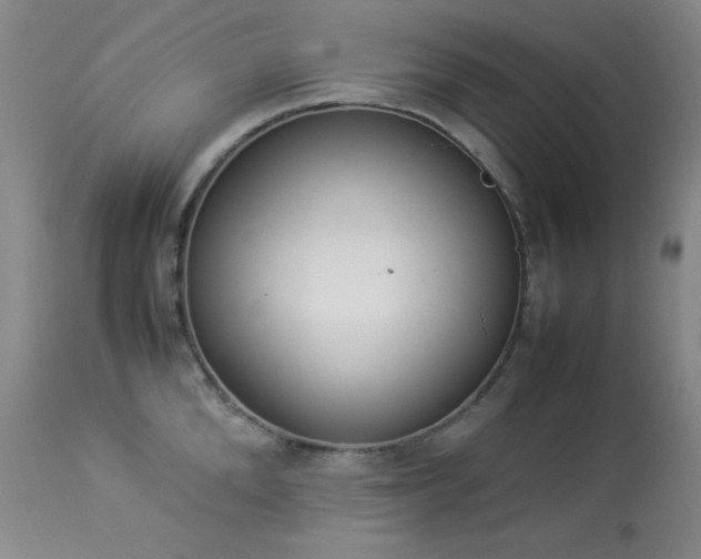 X0000114220904200910091345