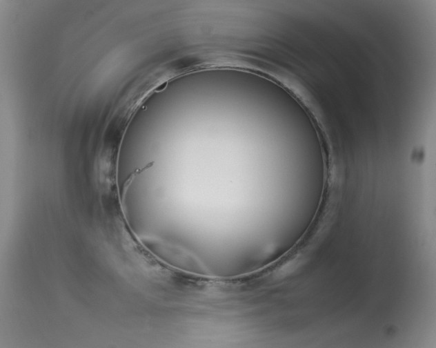 X0000114220905200910091344