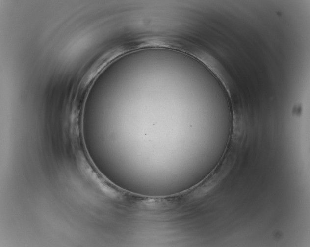 X0000114220906200910091344