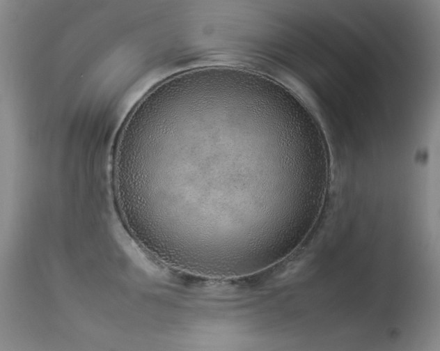X0000114220907200910091344