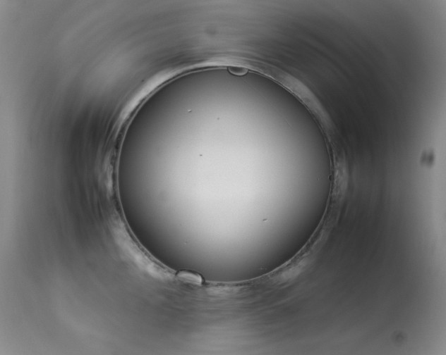 X0000114220908200910091344