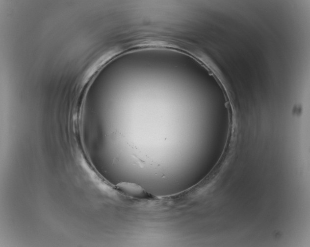 X0000114220909200910091344