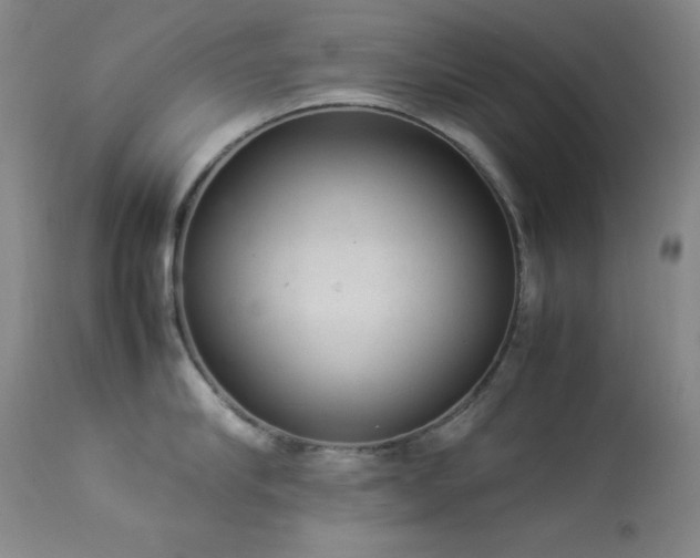 X0000114220910200910091344