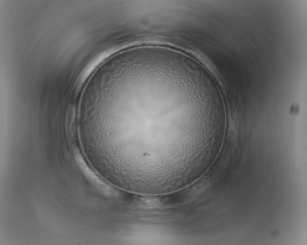 X0000114220911200910091344