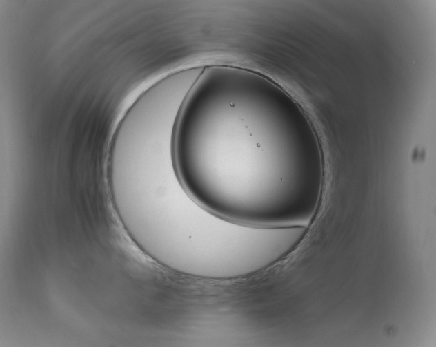 X0000114220912200910091344