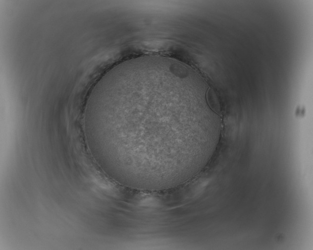 X0000114220913200910091344