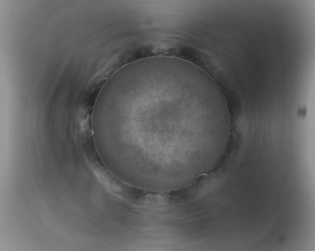 X0000114220914200910091344