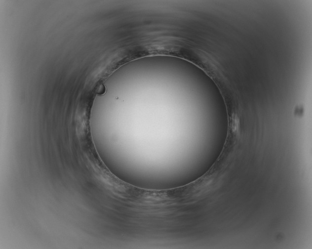 X0000114220915200910091344