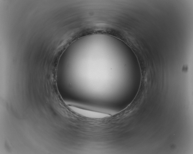 X0000114220916200910091344