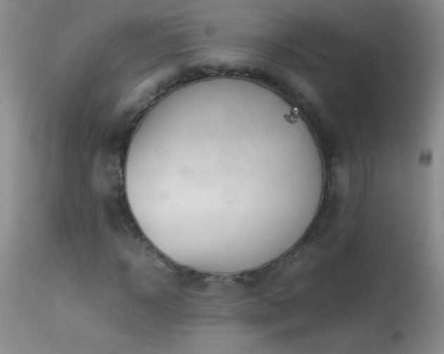 X0000114220918200910091344